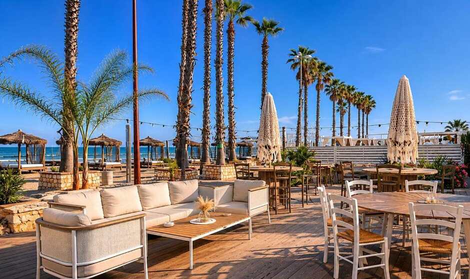 Beach club terrace with palms facing the sea